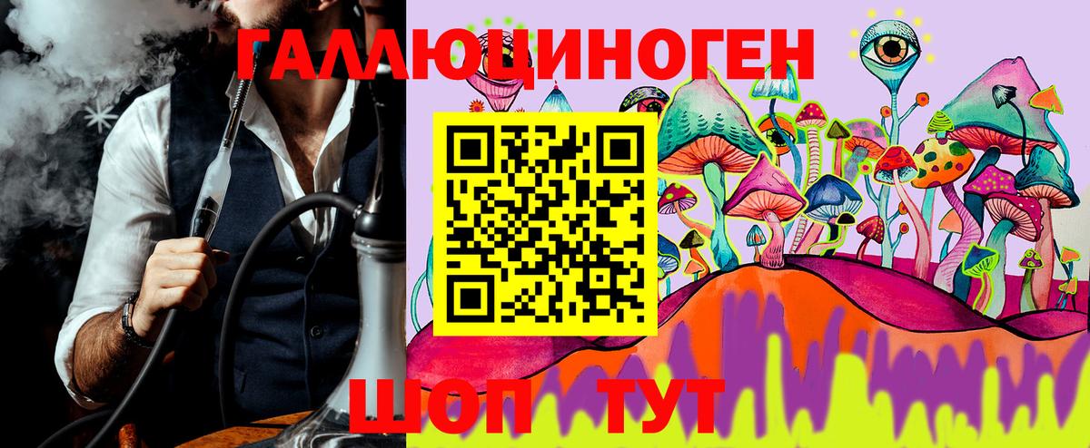 Псилоцибиновые грибы GOLDEN TEACHER  Галлюциногенные грибы ЛСД  Богородицк  Вход с VPN 
